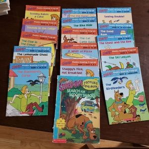 Phonics reading program